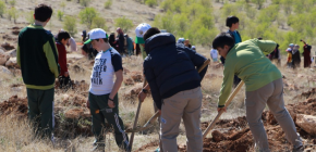 TEMA VAKFI “BİR FİDAN DA SEN DİK”