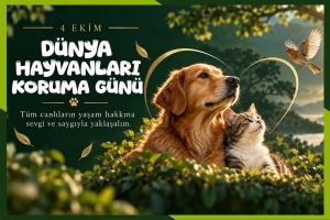 4 EKİM DÜNYA HAYVANLARI KORUMA GÜNÜ